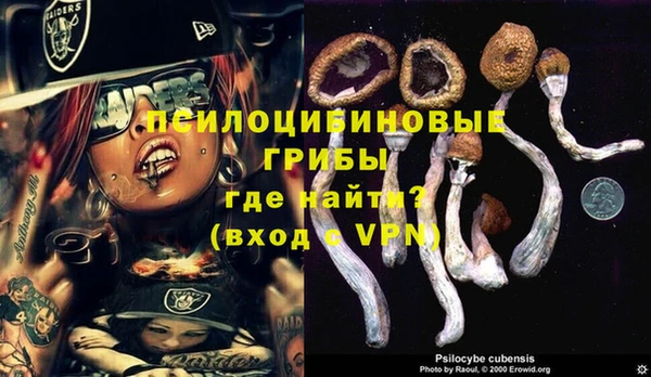 дживик Армянск