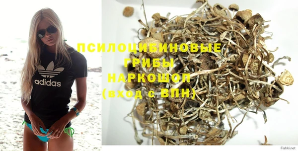 гашик Арсеньев