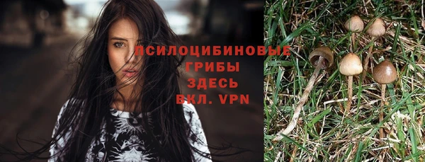 прущий лед Аркадак