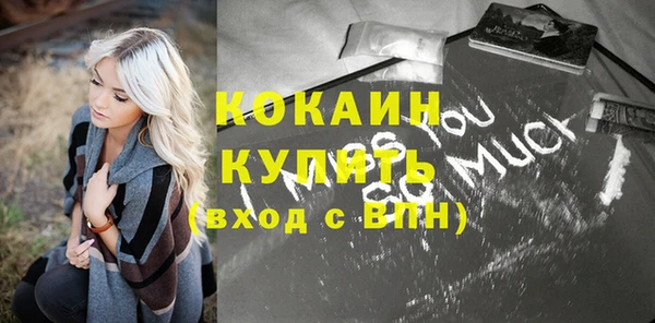 гашик Арсеньев
