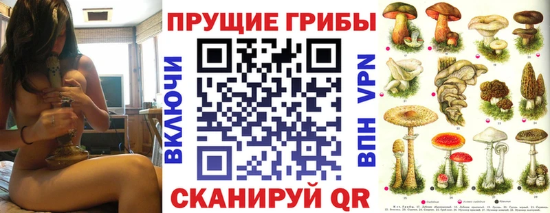 kraken tor Аша Галлюциногенные грибы мицелий где купить наркотик